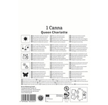 Informationen zur Queen Charlotte Canna Pflanze, einschliesslich Standort, Bewässerung, Pflanzgefässe, Überwinterung, Insektennahrung, Vermehrung und Verpackungshinweise