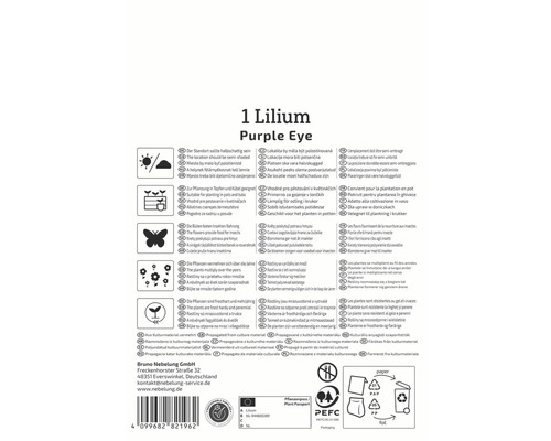 Informationen zur Lilie Purple Eye, inklusive Standort, Pflegehinweise und Frostbeständigkeit