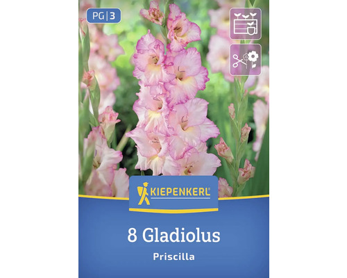 Kiepenkerl Logo, 8 Gladiolen Priscilla