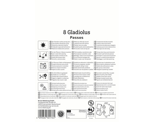 Verpackung Gladiolen Blumenzwiebeln mit Pflanzhinweisen