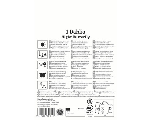 Informationen zur Dahlie 'Night Butterfly'