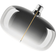 Ampoule décorative avec globe en verre et filament