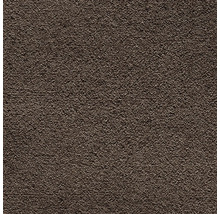 Nahaufnahme einer Putzoberfläche