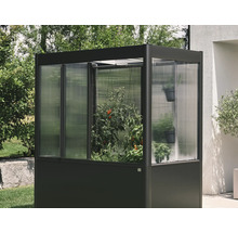 Kleines Gewächshaus mit Pflanzen