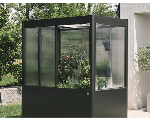 Kleines Gewächshaus mit Pflanzen