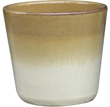 Pot de fleurs en céramique pour plantes d'intérieur