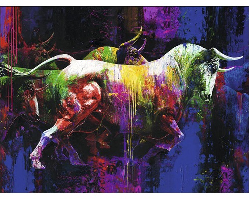 Tableau sur toile Colourful Bull II 84x116 cm