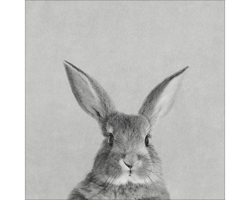 Leinwandbild Rabbit 27x27cm