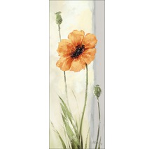 Leinwandbild New Poppy Variation I 27x77 cm
