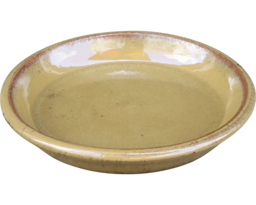 Flache Keramikschale