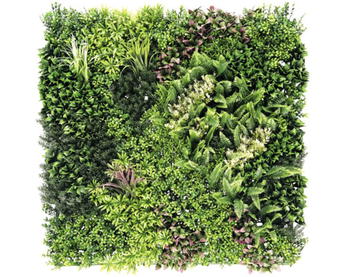 Mur végétal artificiel thallo 100 x 100 cm Mur végétal artificiel avec différentes variétés de vert