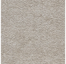 Nahaufnahme einer Putzoberfläche