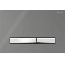 Plaque de déclenchement Geberit pour chasse d'eau de WC