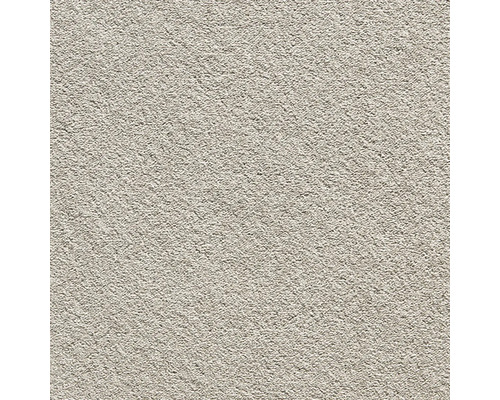Moquette Shaggy Grizzly cappuccino FB39 400 cm de large (au mètre) Gros plan d'une moquette à boucles courtes
