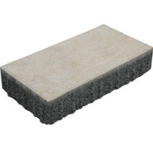 Pavé en béton