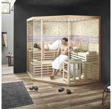 Innenaufnahme einer Sauna mit zwei Personen, Holzbänken und Glaswänden