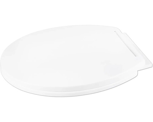 Abattant de WC en plastique