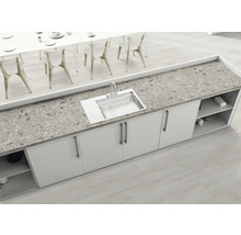 Évier de cuisine en acier inoxydable avec plan de travail et meubles bas