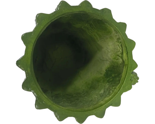 Vue de dessus d'un pot de fleurs vert avec un bord dentelé