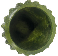 Vue intérieure d'un pot de fleurs vert avec bord décoratif