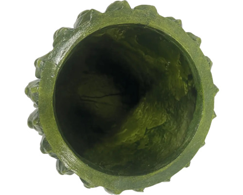 Vue intérieure d'un pot de fleurs vert avec bord décoratif