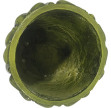 Vue intérieure d'une jardinière