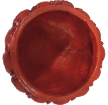 Blumentopf aus Terrakotta, Nahaufnahme von oben