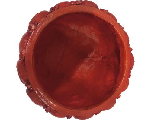 Blumentopf aus Terrakotta, Nahaufnahme von oben