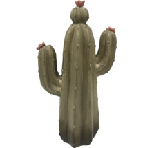 Cactus décoratif avec fleurs pour l'intérieur