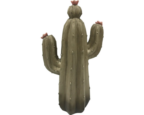 Cactus décoratif avec fleurs pour l'intérieur
