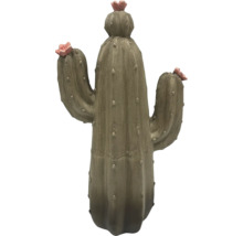Cactus décoratif avec fleurs pour l'intérieur