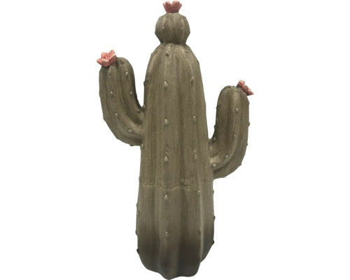 Cactus décoratif avec fleurs pour l'intérieur