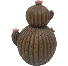 Cactus décoratif avec fleurs comme décoration de jardin