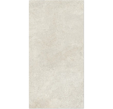 Échantillon de carreaux aspect pierre