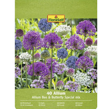 FloraSelf Ail d'ornement Mélange spécial abeilles et papillons, paquet de 40 pièces