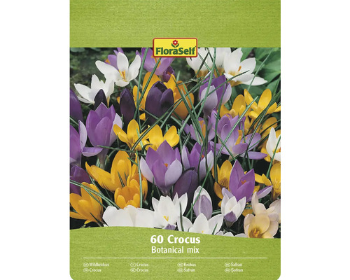 FloraSelf Krokus Botanical Mix Packung mit 60 Stück