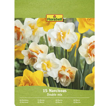Paquet de 15 jonquilles, mélange de variétés doubles