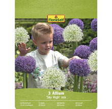 Paquet de 3 bulbes d'Allium 'Sky High' avec le logo FloraSelf