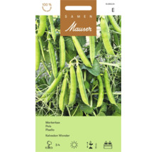 Mauser Kelvedon Wonder marker Erbsensamen Packung