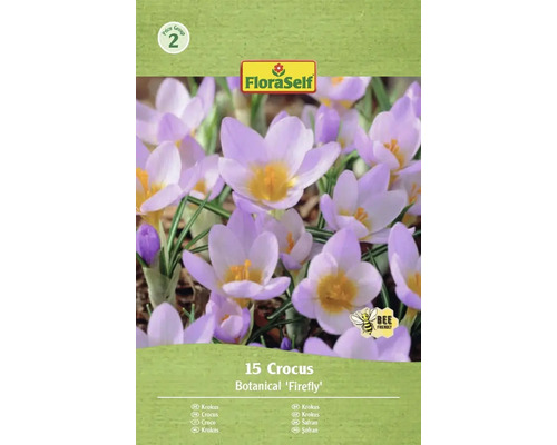 Blumenzwiebel Krokus FloraSelf 'Firefly' 15 Stück Verpackung mit 15 Krokus Botanical 'Firefly' Blumenzwiebeln