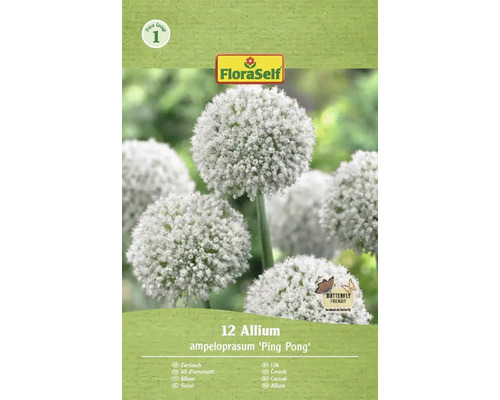 Verpackung mit 12 Allium ampeloprasum 'Ping Pong' Zierlauch Blumenzwiebeln von FloraSelf