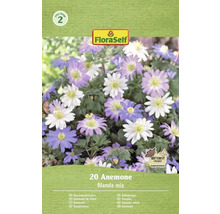 FloraSelf 20 Anemone Blanda Mix paquet