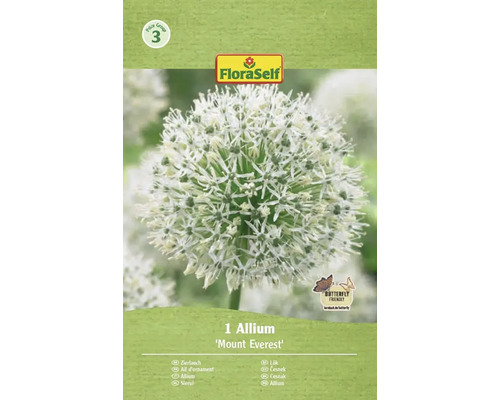 Zierlauch Mount Everest im FloraSelf Paket