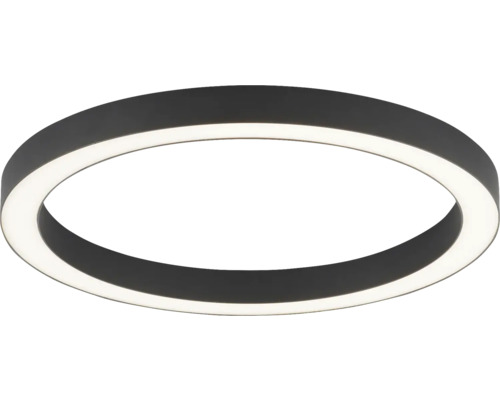 Plafonnier Paul Neuhaus LED 30 W 3750 lm anthracite Plafonnier LED en forme d'anneau