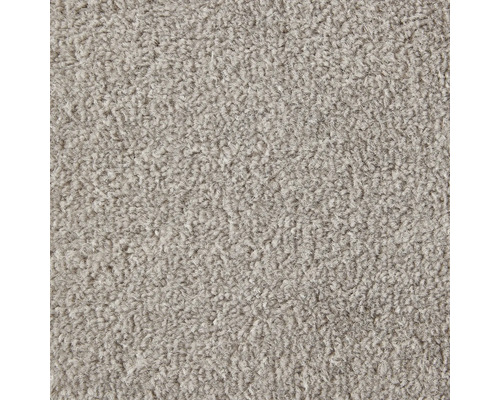 Spannteppich Velours Ines grau FB73 400 cm breit (Meterware) Nahaufnahme eines grauen Teppichs mit dichter Textur