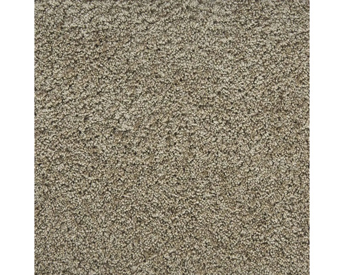 Spannteppich Shaggy Banwell beige FB72 400 cm breit (Meterware) Nahaufnahme eines Teppichs