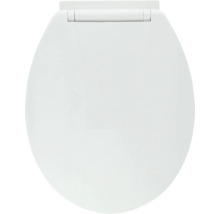 Couvercle de toilette en plastique, fermé