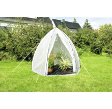 Gewächshaus-Tunnel mit Pflanzen im Garten