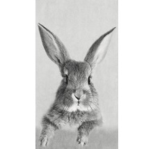 Dekopanel Rabbit 15x30 cm-thumb-0