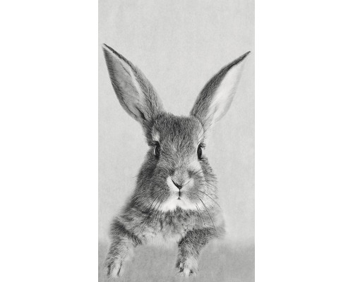 Panneau décoratif Rabbit 15x30 cm